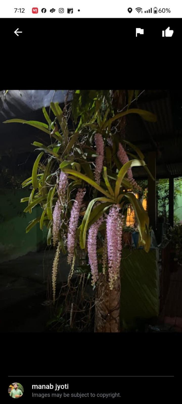 Orchid Park Homestay Sivasagar Eksteriør billede